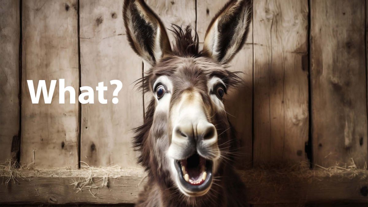 ¿Burro sorprendido con la boca abierta?
