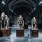 Cuatro esqueletos de grandes simios —gorila, orangután, chimpancé y humano— expuestos en fila en una sala de anatomía comparada de un museo de historia natural