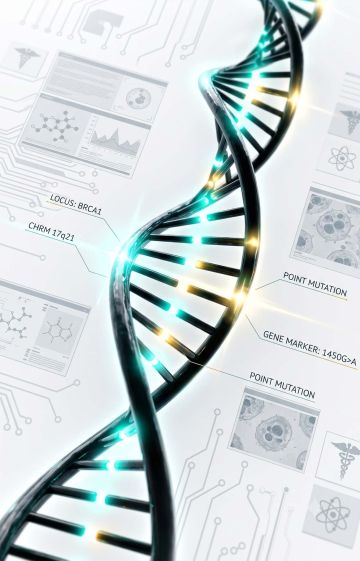 Medical 3D graphic of a DNA double helix highlighting genetic locus points for trait inheritance.